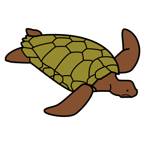 Pictograma de tortuga para niños con autismo y TEA
