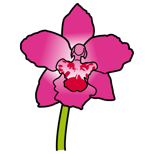 Pictograma de orquídea para niños con autismo y TEA