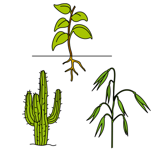 Pictograma de plantas para niños con autismo y TEA