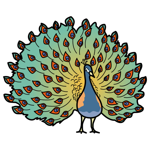 Pictograma de pavo real para niños con TEA