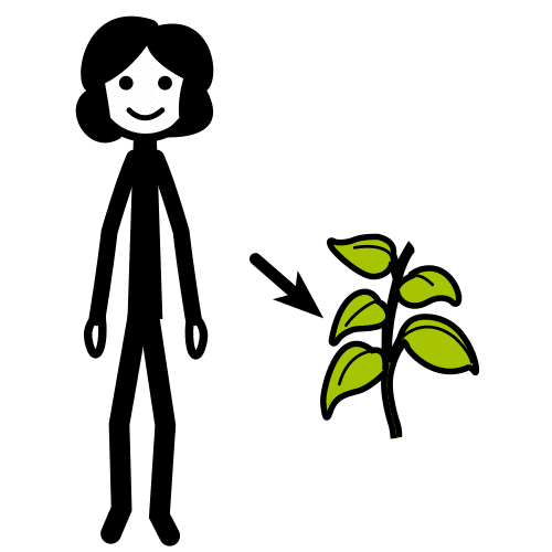Pictograma de vegetariana para niños con TEA