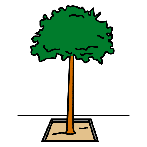 Pictograma de árbol para niños con autismo y TEA