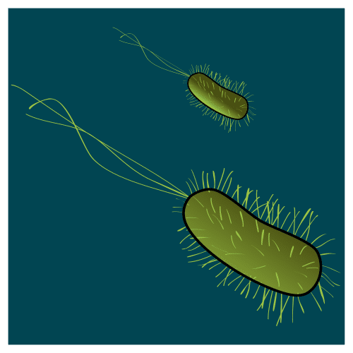 Pictograma de bacteria para niños con TEA