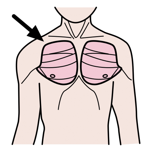 Pictograma de pectorales para niños con TEA