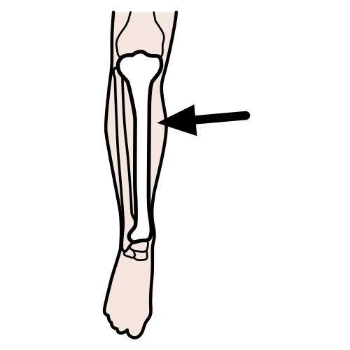 Pictograma de tibia para niños con autismo y TEA