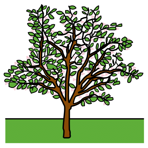 Pictograma de árbol de primavera para niños con autismo y TEA