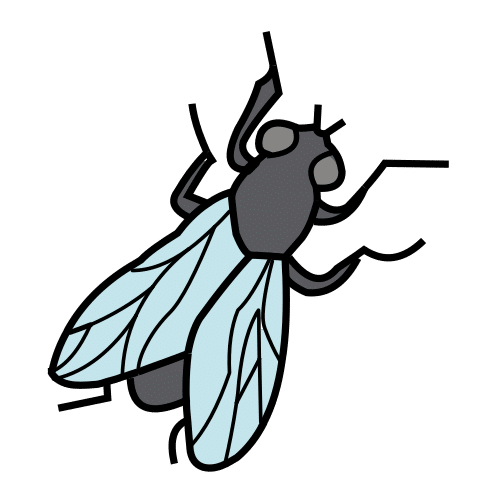 Pictograma de mosca para niños con autismo y TEA