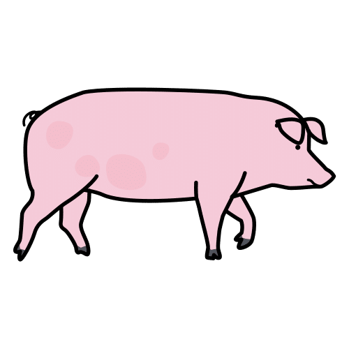 Pictograma de cerdo para niños con TEA