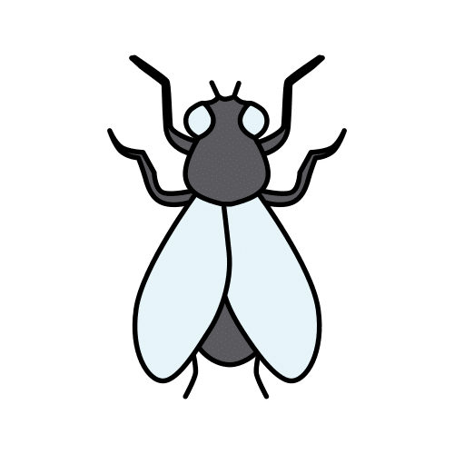 Pictograma de mosca para niños con TEA