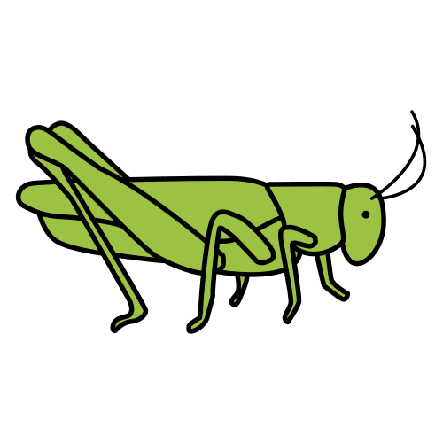 Pictograma de saltamontes para niños con TEA