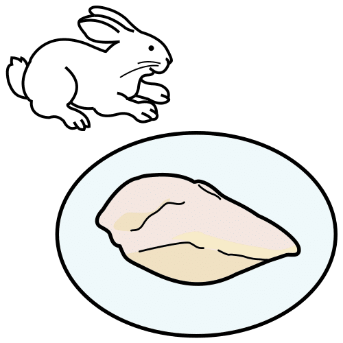 Pictograma de conejo para niños con TEA