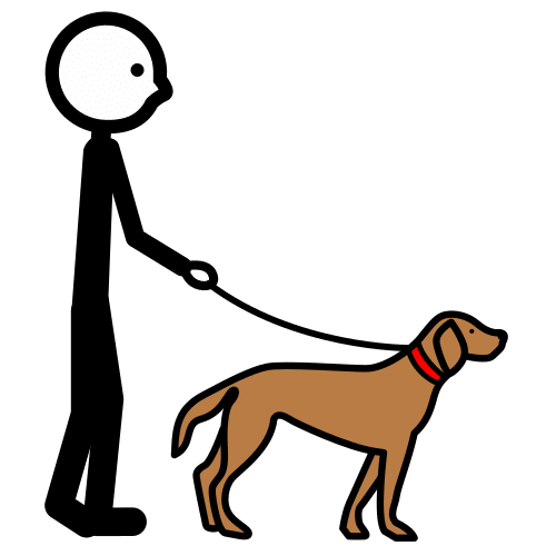 Pictograma de pasear al perro para niños con TEA