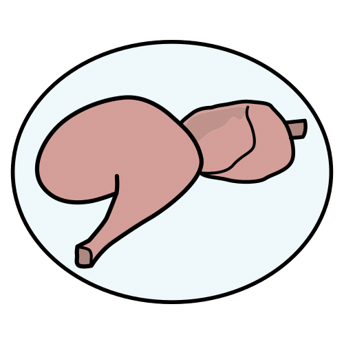 Pictograma de conejo para niños con TEA