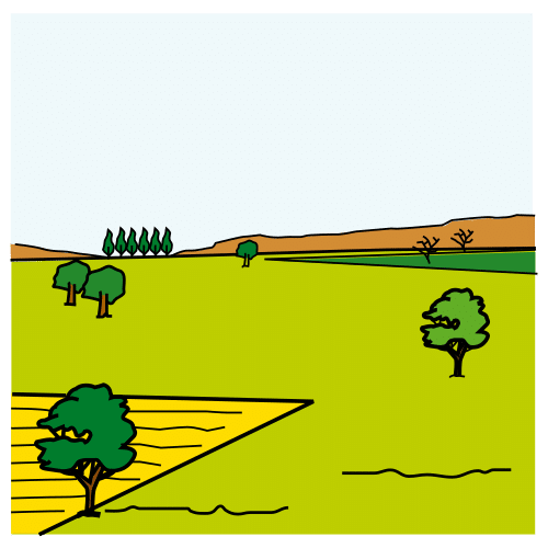 Pictograma de campo para niños con TEA