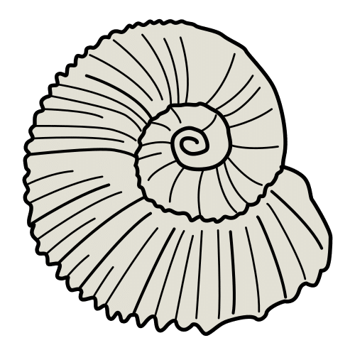 Pictograma de ammonite para niños con autismo y TEA