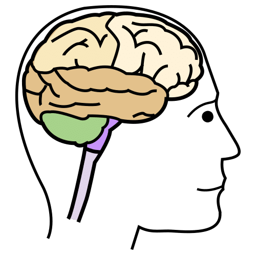 Pictograma de cerebro para niños con autismo y TEA