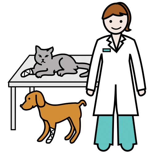 Pictograma de veterinaria para niños con autismo y TEA