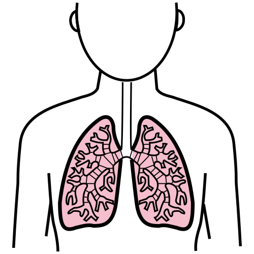 Pictograma de pulmones para niños con TEA