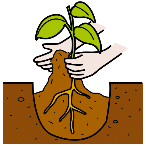 Pictograma de plantar para niños con TEA