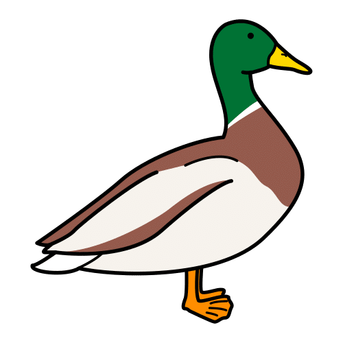 Pictograma de pato para niños con TEA