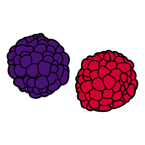 Pictograma de moras para niños con autismo y TEA