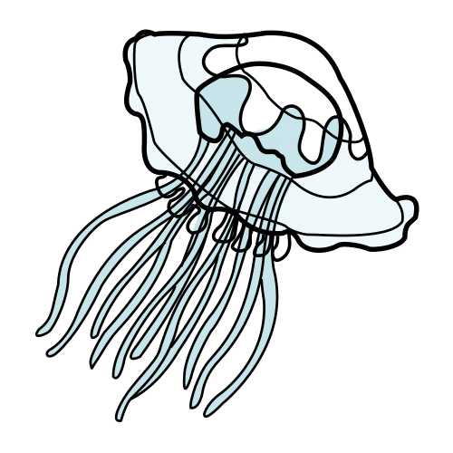Pictograma de medusa para niños con autismo y TEA