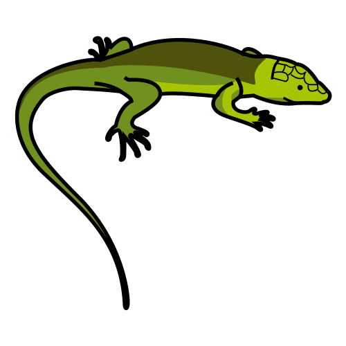 Pictograma de lagarto para niños con TEA