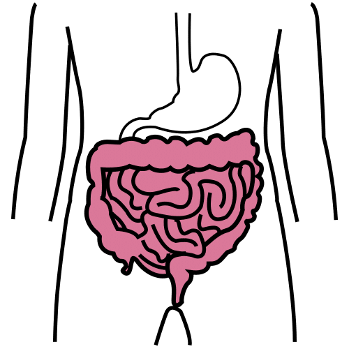 Pictograma de intestino para niños con TEA