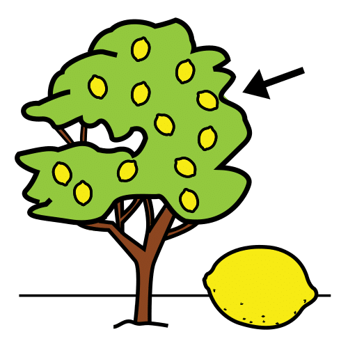 Pictograma de limonero para niños con autismo y TEA
