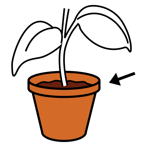 Pictograma de maceta para niños con TEA