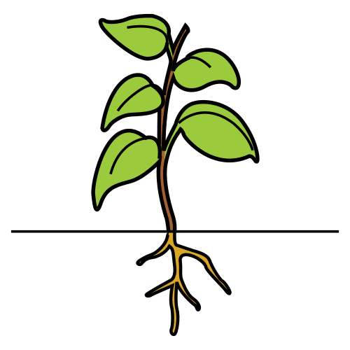 Pictograma de planta para niños con TEA