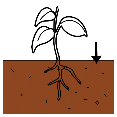 Pictograma de tierra para niños con TEA