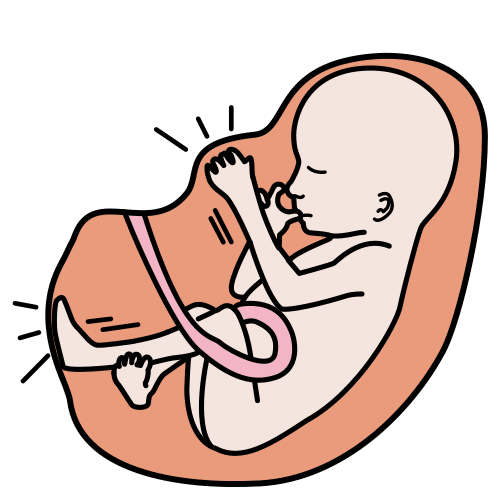 Pictograma de movimiento fetal para niños con TEA