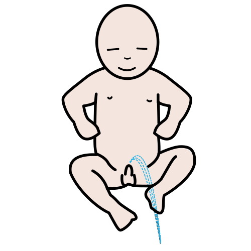 Pictograma de hacer pis para niños con autismo y TEA