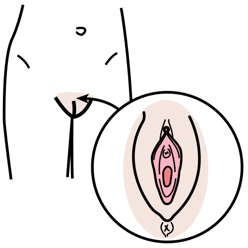 Pictograma de vagina para niños con TEA