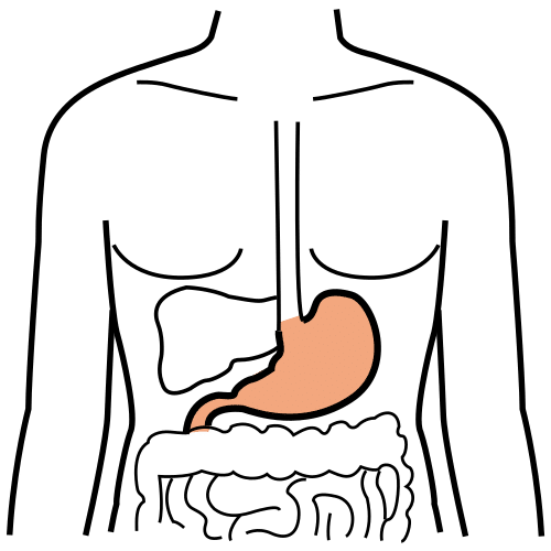 Pictograma de estómago para niños con TEA