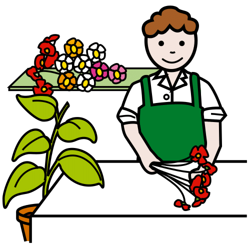 Pictograma de florista para niños con autismo y TEA
