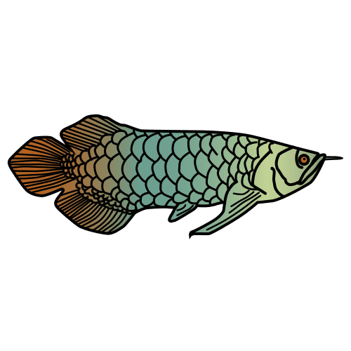Pictograma de arowana australiana para niños con TEA