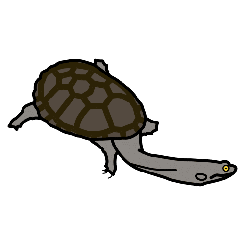 Pictograma de tortuga cuello de serpiente para niños con autismo y TEA