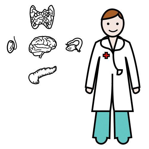 Pictograma de endocrinólogo para niños con autismo y TEA