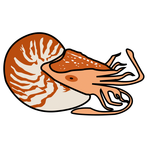 Pictograma de nautilus para niños con TEA