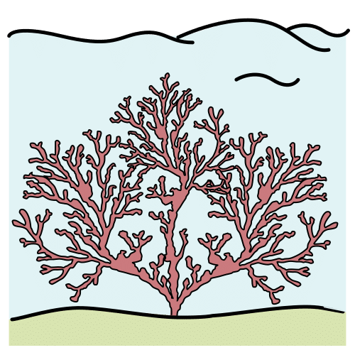 Pictograma de coral para niños con TEA
