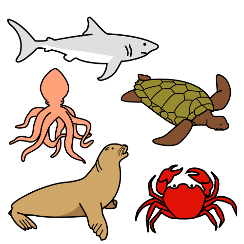 Pictograma de animales marinos para niños con autismo y TEA