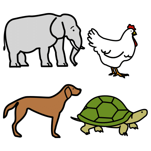 Pictograma de animales terrestres para niños con autismo y TEA