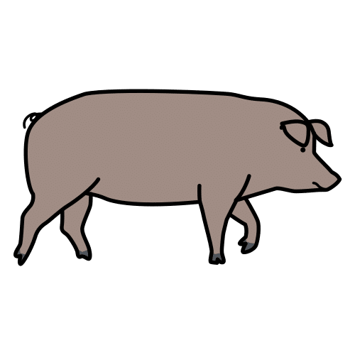 Pictograma de cerdo ibérico para niños con TEA