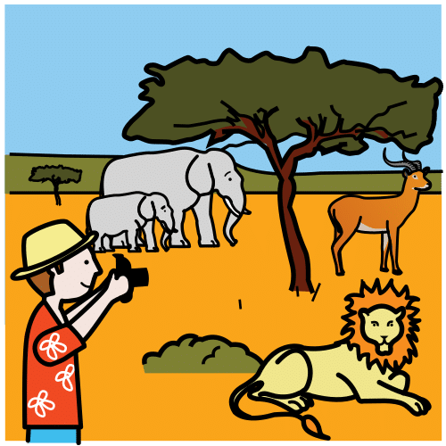 Pictograma de safari fotográfico para niños con TEA