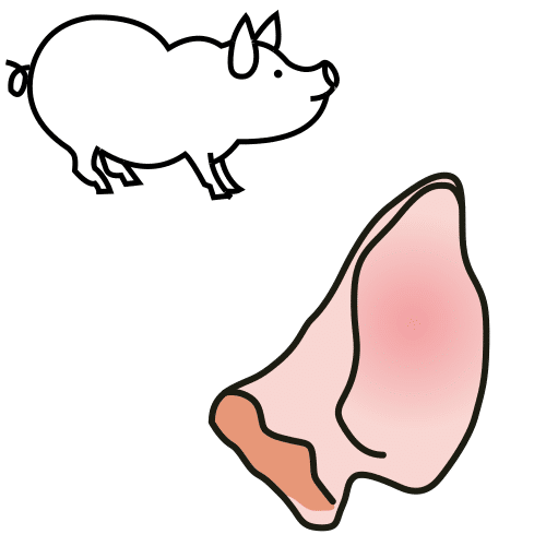 Pictograma de oreja de cerdo para niños con TEA