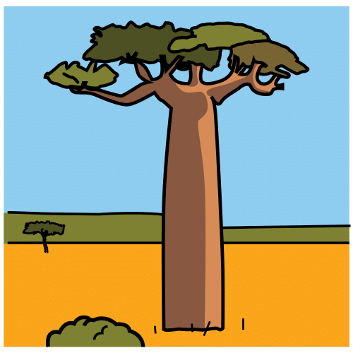 Pictograma de baobab para niños con autismo y TEA