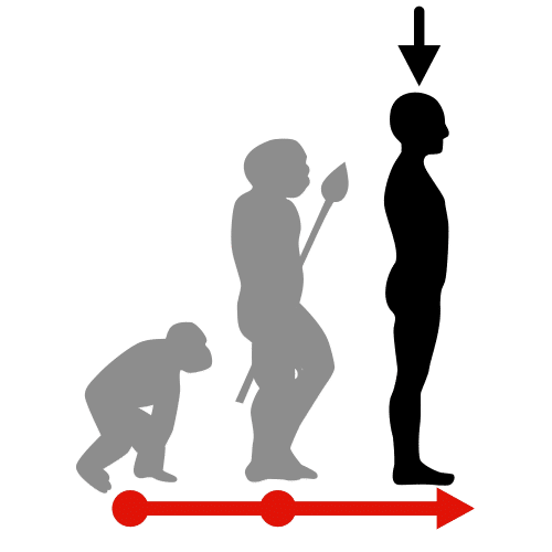 Pictograma de Homo sapiens para niños con autismo y TEA