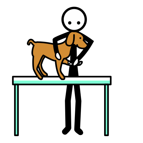 Pictograma de fisioterapia animal para niños con autismo y TEA